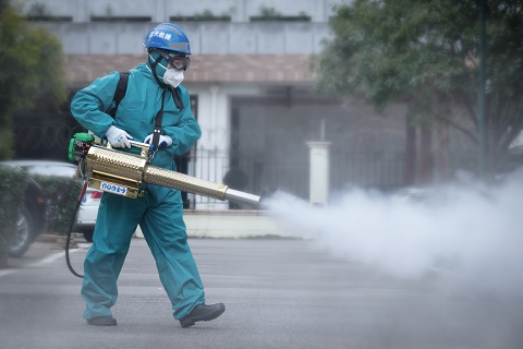 有害生物防治知識：專業指導家庭的預防措施